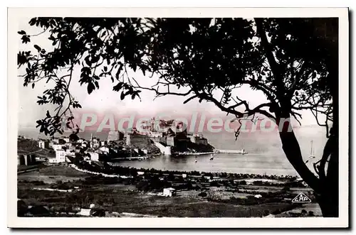 Cartes postales Calvi Vue A Travers Les Pins