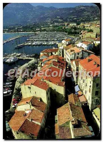 Cartes postales moderne Calvi Les Hautes Maisons Blanches A Toits Rouges