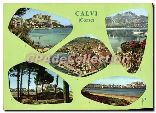 Moderne Karte Calvi La Marine Et La Citadelle