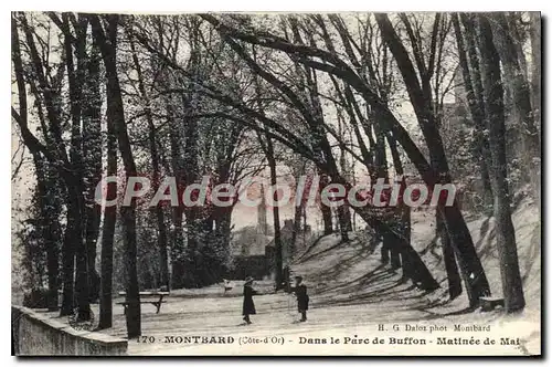 Ansichtskarte AK Montbard Dans Le Parc De Buffon Matinee De Mai