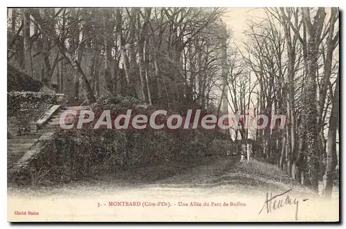 Cartes postales Montbard Une Allee Du Parc De Buffon