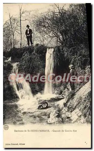 Cartes postales St Seine I'Abbaye Cascade De Combe Rat