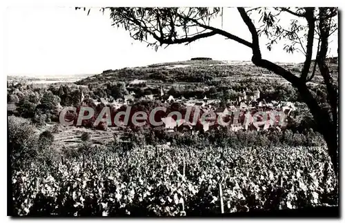 Cartes postales Savigny Les Beaune Vue Generale