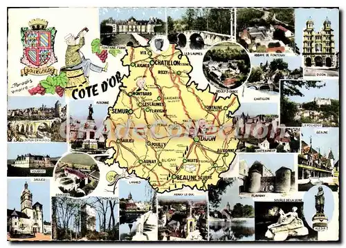 Cartes postales moderne Cote D'Or Dijon Vougeot Saulieu Epoisses Montbard Laignes Flavigny Recey Alesia