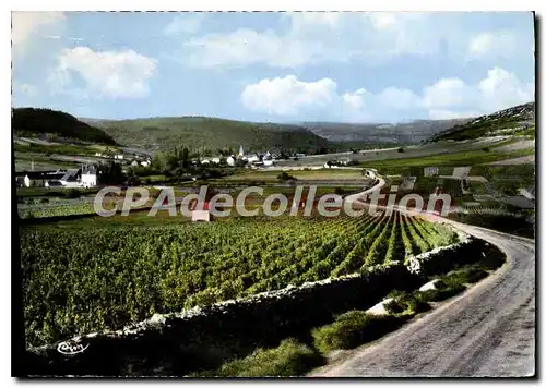 Cartes postales moderne Auxey Duresses Vue Generale Sur Les Vignes