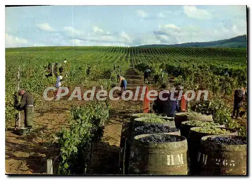 Moderne Karte Arbois Jura France Domaine Francoise de Montfort