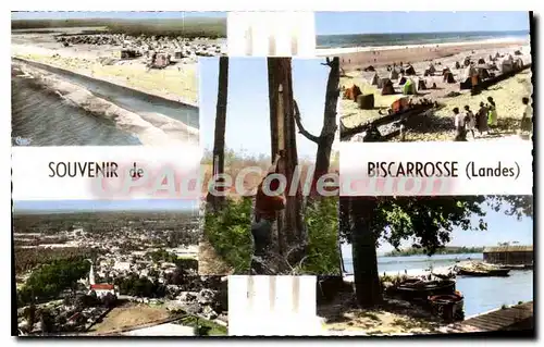 Cartes postales Souvenir de Biscarrosse Landes