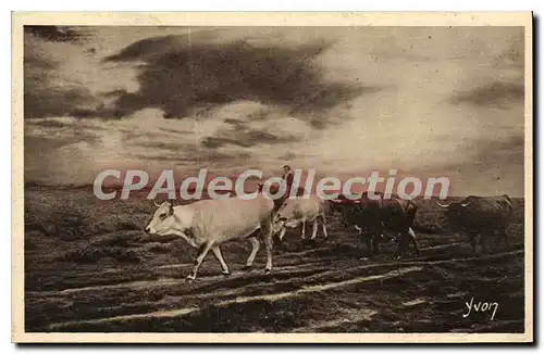 Cartes postales La Douce France Les Landes de En rase lande Le Retour