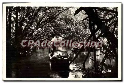 Cartes postales Au Pays Landais Sous les Ombrages du Courant d'Huchet a Leon