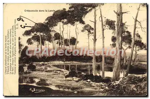 Cartes postales Crepuscule dans la Lande