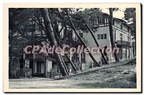 Cartes postales Hossegor Les Hotels dans la Foret