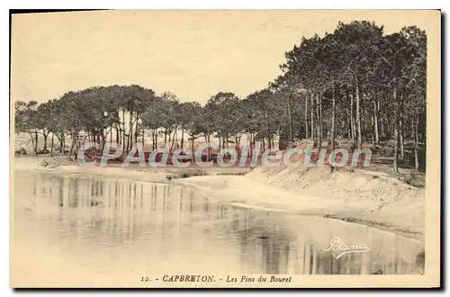 Ansichtskarte AK Capbreton Les Pins du Bouret