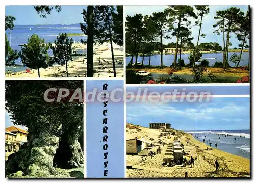 Cartes postales moderne Biscarrosse