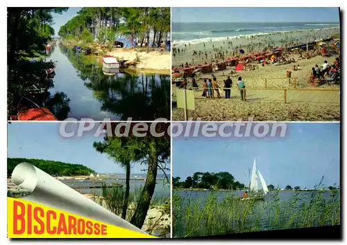 Moderne Karte Biscarrosse Landes Plage Blonde ciel bleu et pins Verdoyants