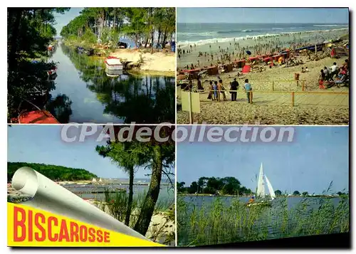 Cartes postales moderne Biscarrosse Landes Plage Blonde Ciel Bleu et Pins Verdoyants