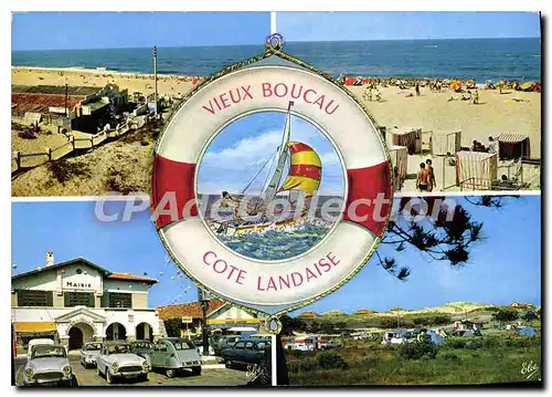 Cartes postales moderne Vieux Cote Landaise