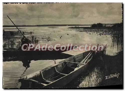 Cartes postales moderne En Guyenne Gascogne Sur les lacs landais