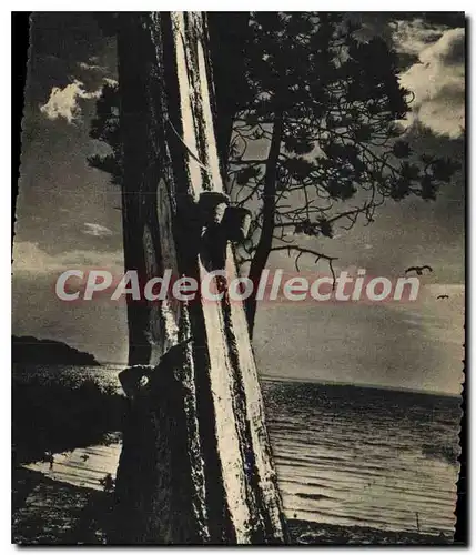 Cartes postales moderne En Guyenne Gascogne Un Soir au Lac de Cazeaux et Biscarosse