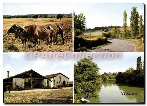 Cartes postales moderne Visage des Landes Souriante Chalosse