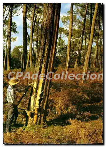 Moderne Karte Visage des Landes Gemmeur au travail Sous bais automnal