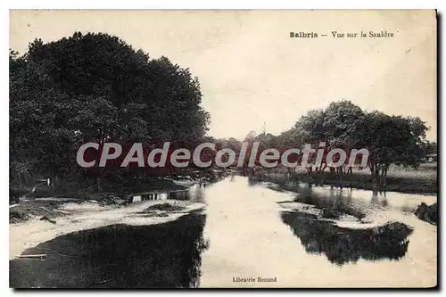 Cartes postales Salbris Vue sur la Sauldre