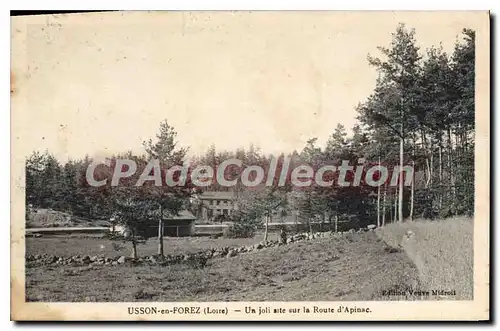 Ansichtskarte AK Usson en Forez Loire Un Joli site sur la Route d'Apinac