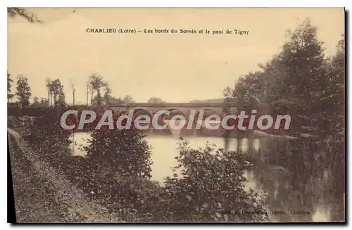 Cartes postales Charlieu Les Bords du Sornin et le Pont de Tigny