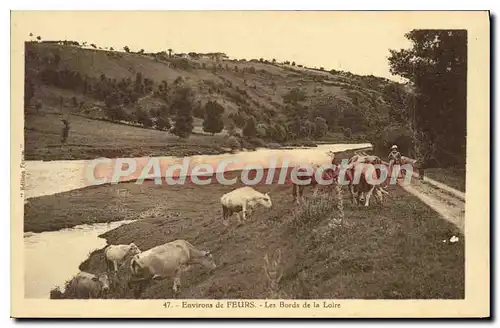 Cartes postales Environs de Feurs Les Bords de la Loire