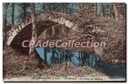 Cartes postales Charlieu Loire Le Sornin Le Pont du Diable