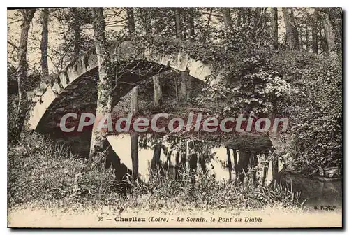 Cartes postales Charlieu Le Sornin le Pont du Diable