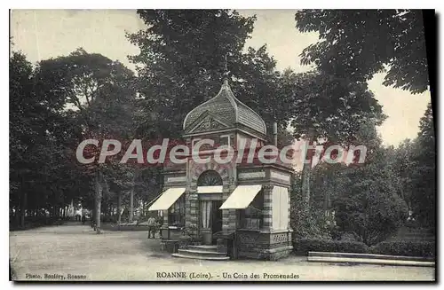 Ansichtskarte AK Roanne Un COin des Promenades