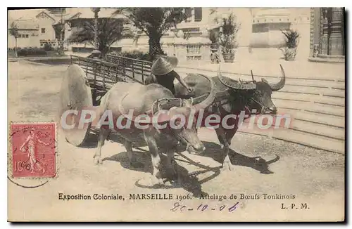 Ansichtskarte AK Exposition Coloniale Marseille Attelage de Boeufs Tonkinois