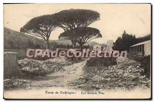 Cartes postales Camp de Carpiagne Les Grands Pins