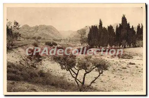 Cartes postales Paysage a Saint Remy  du R Au fond les Alpilles