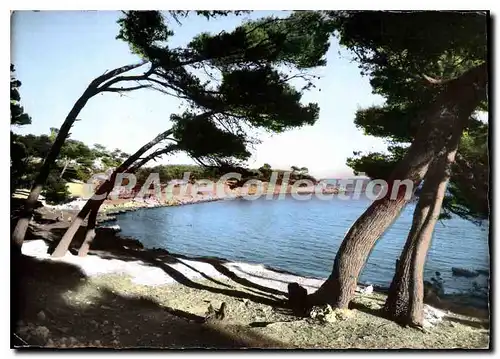 Cartes postales moderne La Cote Bleue Carry Le Rouet Bouches du Rhone Calanque du Cap Rousset