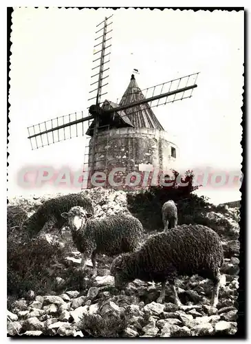 Cartes postales moderne Le Moulin de a Daudet a Fontvieille