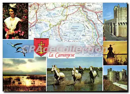 Cartes postales moderne La Camargue En Camargue A vec les Gardians