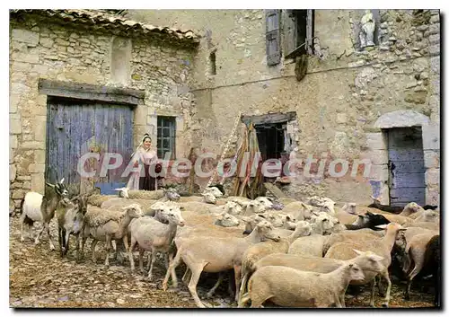 Moderne Karte Les Belles Images de Provence Depart de la Bergerie