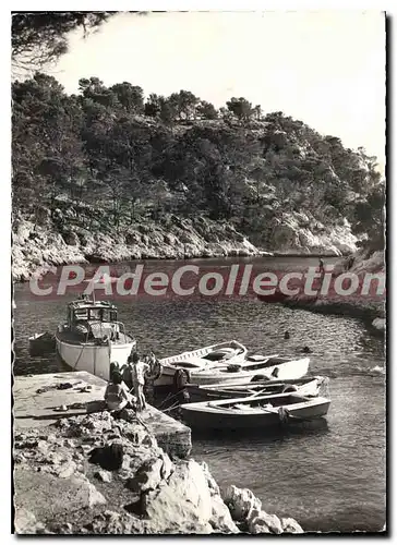 Cartes postales moderne Cassis Le Port pin et les calanques