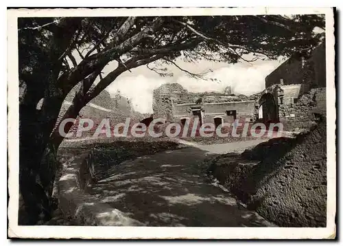 Cartes postales moderne Environs de Saint Chamas B du R Ruines du Chateau feodal