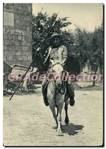 Cartes postales moderne Provence et Camargue