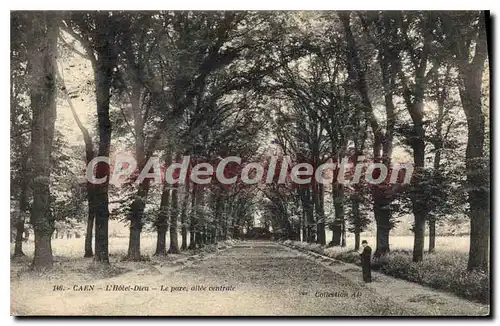 Cartes postales Caen L'Hotel Dieu Le parc allee centrale