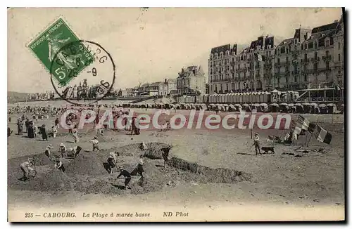 Cartes postales Cabourg La Plage a maree basse