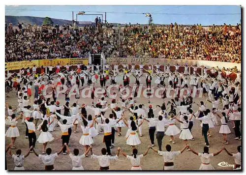 Cartes postales moderne Ceret Pyr Or Le Festival de la Sardane