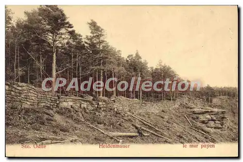 Cartes postales Ste Odile Heidenmauer le mur payen