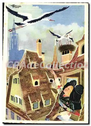 Cartes postales moderne Les Cicognes de Strasbourg