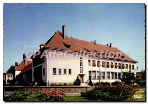 Cartes postales moderne Rhinau Bas Rhin Le groupe scolaire