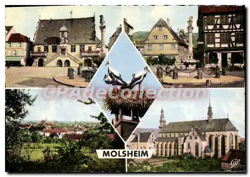 Cartes postales moderne Molsheim Place de l'Hotel de Ville Vue generale mus�e