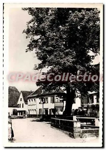 Cartes postales moderne Wissembourg Bas Rhin Faubourg de Bitche