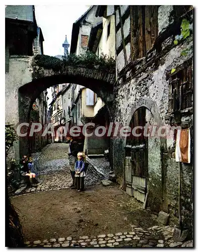 Cartes postales moderne L'Alsace Pittoresque Riquewihr Rue des Julis